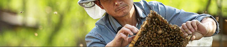 公司介紹
